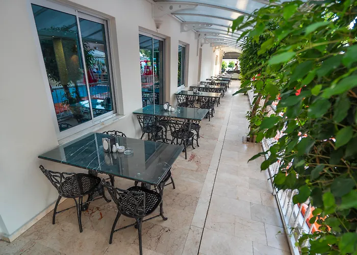 Hotel Kleopatra Celine 3*